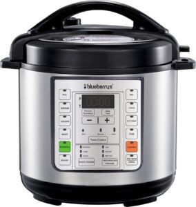 Blueberry's ᴾᴿᴼᶜᴼᴼᴷ 𝟯-𝗟𝗶𝘁𝗲𝗿 1000-Watts Multi-Purpose Cooking