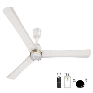 atomberg Renesa Enzel 1200mm BLDC Ceiling Fan with Remote Control